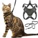 Outdoorbengal cat dishes and leash large outbreak -proof non -choking easy easy to put on adjustable soft and breathable - vest + leash for large cats (l) Large adult