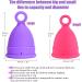 QNCZ Menstrual Cups - Safe & Soft Reusable Period Cup Set for Beginners - Easy Insert & Clean - 12 Hour Wear - Small & Large (Set of 2) - Buy Online on GoSupps.com