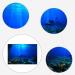 EVAYangSG Underwater World Aquarium Background Decoration Poster Aquarium Background Sticker Aquarium Aquarium Aquarium Poster Decoration Picture Supplies 61 * 30cm (blue) - Buy Online on GoSupps.com