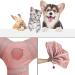 SunStyle Home 3-Way Cat Tunnel Toy with Peek Hole and Ball - Pink - Buy Online on GoSupps.com