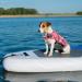 Emust Life Vest for Dogs - High Buoyancy Pink Camouflage Life Jacket for Small Medium & Large Dogs - Perfect for Swimming & Boating - Buy Online on GoSupps.com