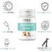 PetSol Fast Acting Ear Powder - Large 30g Tub - Stops Head Shaking, Wax Build-up, and Ear Odor - Buy Online on GoSupps.com