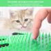 Silicone Cat & Dog Grooming Gloves - Pet Care Brush for Cats | International Shipping Available - Buy Online on GoSupps.com