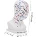 Minkissy Realistic Acupuncture Point Model - Hospital & Laboratory Supplies for Head Massage | 22x12x8cm PVC Scalp Pin Model - Buy Online on GoSupps.com