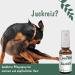CDVet Veavet Juckex 100 ml - Natural Care Spray for Dogs Cats & Horses | Wound Protection & Regeneration with Mushroom Extract - Buy Online on GoSupps.com