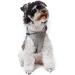 Petcute Waterproof Dog Rain Jacket - Windproof Coat with Reflective Stripes for Small Medium & Large Dogs - Adjustable with Hood - S Gray - Buy Online on GoSupps.com