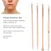 Qukaim Blackhead Removal Tool Pimple Blackhead Remover Tool Kit 4 Set Stainless Steel Comedone Extractor for Professional Zit Whitehead Popper - Buy Online on GoSupps.com