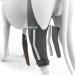 Ortocanis - Knee Brace for Dogs with Ligament Rupture and Patella Luxation Size S Left Leg Left leg Size S - Buy Online on GoSupps.com