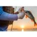 6PCS Bass Fishing Lure Set with Rotating Tail and Floating Design - Perfect Gift for Anglers | Hard Bait Fishing Lures Kit with Box - Ideal for Bass Fishing Enthusiasts - Buy Online on GoSupps.com