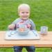 Green Sprouts Learning Bowl for 9+ Months - Gray | Durable & Safe Feeding Bowl - Buy Online on GoSupps.com