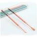 DOITOOL Ear Pick Ear Wax Remover Ear Cleaner Ear Spoon for Home Double Head Led - Buy Online on GoSupps.com
