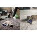 Cat Feather Toys Set with Wand and Refills - Interactive Cat Toys - Buy Online on GoSupps.com