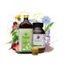 Microflorana intestinal treatment - probiotics and prebiotics - Living intestinal bacteria - bacteria food - intestinal renovation - cultures complex - the optimal couple - set (large intestinal renovation)