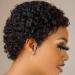 Besteffie Short Curly Human Hair Wigs for Black Women - 100% Brazilian Virgin Hair Pixie Cut Afro Kinky Curly Wig (1B) - Buy Online on GoSupps.com