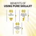 Siberian Altai Golden Mountains Shilajit Resin 100g - Quality & Safety Certified - Includes Measuring Spoon - 3.53oz (Pack of 1) - Buy Online on GoSupps.com