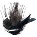 Feather Peacock Hair Clip Natural Feather Fascinator Barrette with Sparking Rhinestone Peacock Feather Hairpin Hair Accessories - Buy Online on GoSupps.com