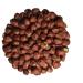 Buy Pergamo Natural Hazelnuts (1 kg) - Additive-Free Vegan & Gluten-Free | Whole Hazelnut Kernels for International Shipping - Buy Online on GoSupps.com