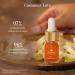 Ayurvedic Kumkumadi Oil (Tailam) with Saffron & Red Sandalwood | Elixir for Glowing Skin with Pure Essential Oils | Natural Radiance & Youthful Complexion | All Skin Types | 5ml - Buy Online on GoSupps.com