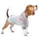 Leaving dog sweater fleece sweater hoodie pajama fluffy cat sweater for small medium -sized dog French bulldog clothing dachshund chihuahua m m gray