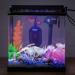 Hygger 100W Digital Betta Aquarium Heater for Turtles - Intelligent LED Temperature Controller & Adjustable Thermometer for 25-90 Liters - Buy Online on GoSupps.com