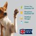 Pet Odour Eliminator: All-Natural Dog & Cat Urine Cleaner - 1 Litre - Buy Online on GoSupps.com
