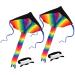 SINGARE 2 Pack Rainbow Delta Kite Kites for Kids Adults Easy to Fly Long Tail Huge Flyer Great Outdoor Activities Beach Games for Kids with Line and Handle