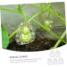 Happyyami Transparent Fruit Mold 5pcs Vegetable Growing Mini Accessories Clear Fruit Growing Adorable Fruit Gourd Cucumber - Buy Online on GoSupps.com