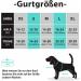 POPOTT Reflective Dog Harness - Adjustable Soft Padded Vest for Medium Dogs (Tumalo Teal) | No Choke Design & Control Handle - Buy Online on GoSupps.com