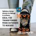 Due North GripPro Spikeless Ice Cleats - 22 Hi-Vis Chevrons for Maximum Grip - S/M Size - Buy Online on GoSupps.com
