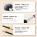 Small Fan Brush | Professional Korean Makeup Brush | Premium Synthetic Bristles for Flawless Makeup Finish - Buy Online on GoSupps.com