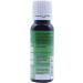 PME 100% Natural Food Colouring - Juniper Green 25 g Single - Buy Online on GoSupps.com