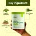 Greens Powder Daily Drink Mix with Spirulina Vegetables & Probiotics Digestive Enzymes | Detox Health & Wellness Support | Vegan Protein Non-GMO Gluten-Free No Additives 30 Servings Unflavoured 1 Ounce (Pack of 1) - Buy Online on GoSupps.com