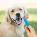 tonyg-p 3 Sided Dog Toothbrush with Silicone Finger Toothbrush Pet Toothbrush Addition Bad Breath Tartar Teeth Care for Small to Large Dogs Cats Cleaning Mouth (Orange Purple Blue) - Buy Online on GoSupps.com