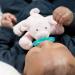 WubbaNub Piglet Infant Pacifier - Soothing Baby Pacifier with Plush Piglet Toy - Buy Online on GoSupps.com
