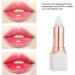 Lip Balm 3.5g Shea Butter Nourishing Moisturizing Color Changing Lip Balm Gloss Lip Care Long Lasting Lipstick Lip Care Supplies for Cracked Chapped or Dry Lips - Buy Online on GoSupps.com