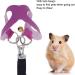 Shop Asixxsix Purple Dishwear & Leash Set for Hamsters Guinea Pigs & Ferrets - 3 Sizes Synthetic Leather Crockery & Nylon Line - Buy Online on GoSupps.com