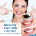 Body Accel Whitening Toothpaste | Niacinamide Dazzling White & Stain Removal (2PCs) - Shop Internationally - Buy Online on GoSupps.com