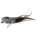 Real Feather Hair Extensions - 25 Fluffys with Rings and Loop for Easy Application | Includes Instructions - Buy Online on GoSupps.com