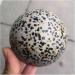 Ornament Natural Stone Sphere Dalmatian Jasper Crystal Quartz Ball for Gift for Decoration Gift Decoration feng Shui 1pc (Color : 1pc 60mm) - Buy Online on GoSupps.com
