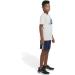 adidas Boys' Big Short Sleeve Bos Ghost Logo T-Shirt - Large Alumina - Buy Online on GoSupps.com