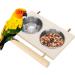 Buy Parrot Folding Cup & Gel Feed Dish - Stainless Steel with Stand | Ideal Bird Feeder for Water & Food - Buy Online on GoSupps.com