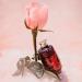 ALQVIMIA Sensuality Body Nectar Woman Body Oil 50 ml AC70608 - Buy Online on GoSupps.com