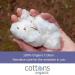 Cottons Organic Cotton Overnight Sanitary Pads for Women - Hypoallergenic & Breathable - Heavy Flow - 10 Count - Buy Online on GoSupps.com