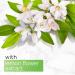 Pears Oil Clear & Glow Shower Gel 250ml - Refreshing Clear Skin Cleanser for All Skin Types - Buy Online on GoSupps.com