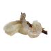 Sea Best 41/50 Count Peeled and Deveined Tail On Shrimp - 2 Pound Pack | Fresh Seafood Delivery - Buy Online on GoSupps.com
