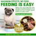 CANIVET Probiotics for Dogs. Canine Dietary Supplement - Aids Digestive Health 100g Powder Dog Probiotic. 5 Billion CFU** with 10 Strains of Good Bacteria for your Dog's Digestive Health. 100 g (Pack of 1) - Buy Online on GoSupps.com