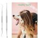 Schecker Tartar Remover Set | Dentist-Quality 2-Part Kit for Dogs Cats & Pets | Effective Tartar Removal - Buy Online on GoSupps.com