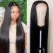 Maxine 5x5 HD Transparent Lace Front Wig Silky Straight Wave 5x5 Lace Closure Wigs Human Hair 10a Brazilian Remy Human Hair Wigs Pre Plucked with Baby Hair 180% Density 22 Inch 22 Inch 5x5 Wig