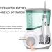 GeRRiT Water Flosser for Teeth Dental Oral Irrigator with 6 Jet Tips 600ml Water Tank Non-Slip Base Quiet Electric Water Flosser for Braces Care Clean - Buy Online on GoSupps.com