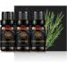 Therapeutic-Grade Aromatherapy Essential Oils Set Sandalwood Cinnamon Vetiver Essential Oils Set 100% Pure Aromatherapy Essential Oils Kit for Diffuser Massage Humidifier 3x10ml - Buy Online on GoSupps.com